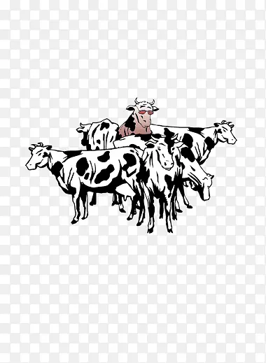 һȺ��ţ-������