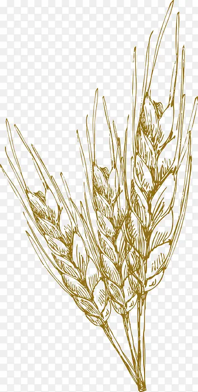 ˮ��װ�����ʸ��-������