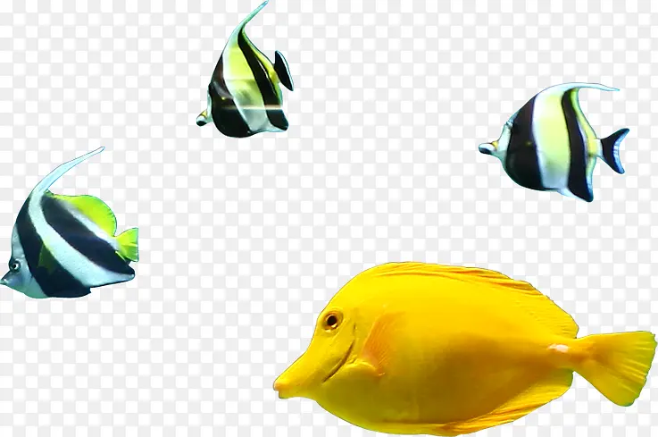 ��Ӱ��������������Ⱥ-������