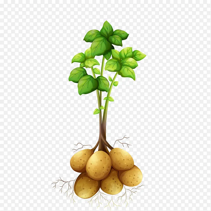 ʸ���߲�-������