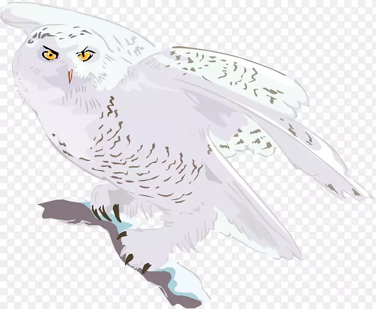 èͷӥ���ݶ���Ұ������èͷӥ-������