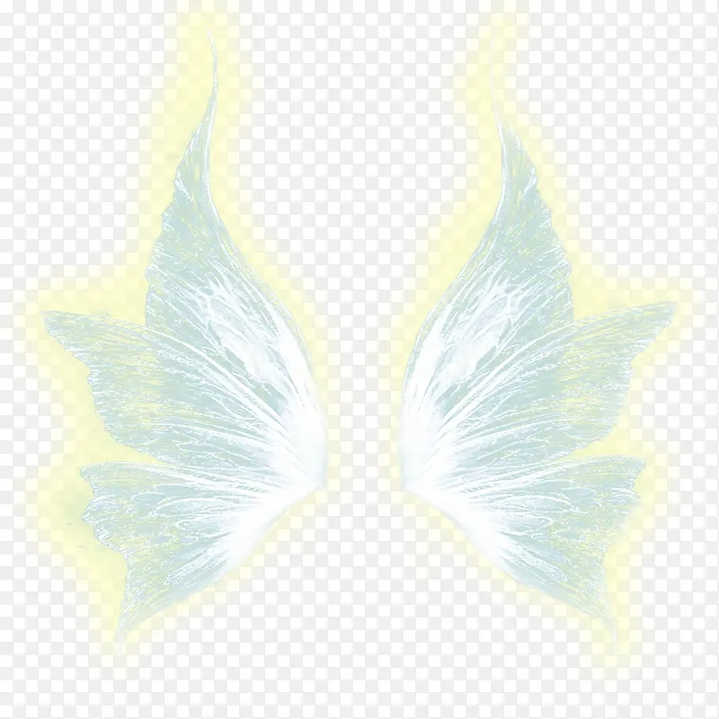 ��ë������-������