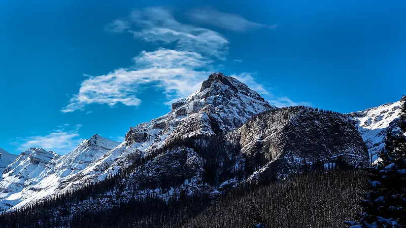 �������ѩɽ������Ӱ-������