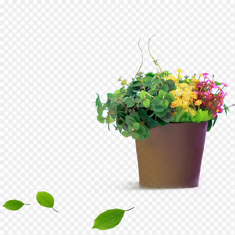 װ���ز� ����-������