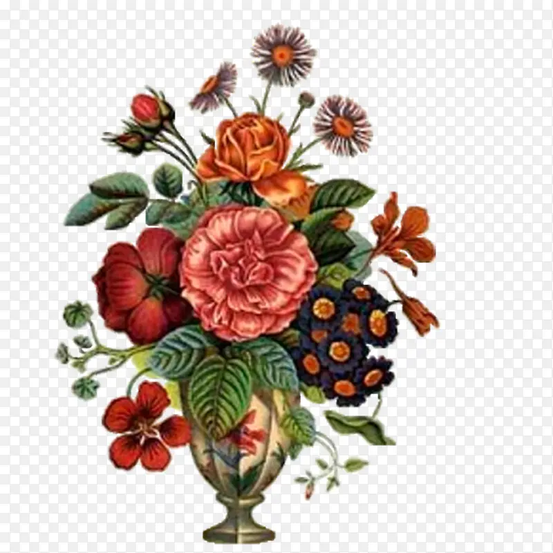 װ���ز� ����-������