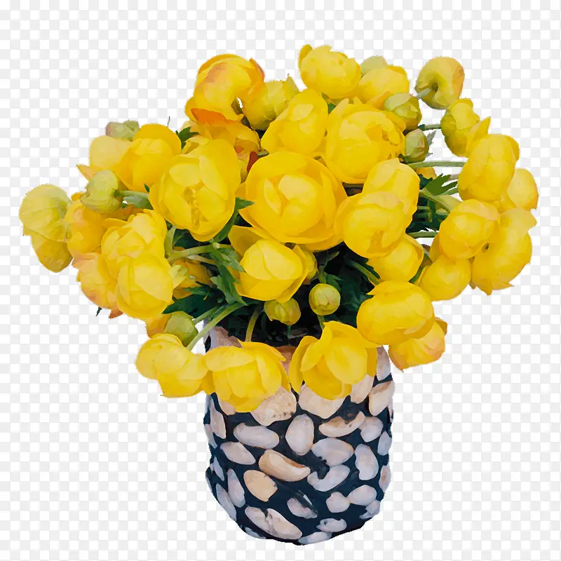 װ���ز� ����-������