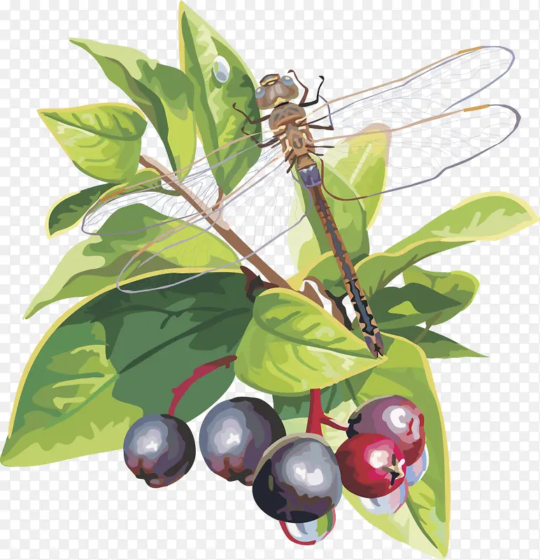 ʸ��ͼˮ��ӣ����ݮ-������