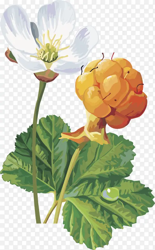 ʸ��ͼˮ��ӣ����ݮ-������