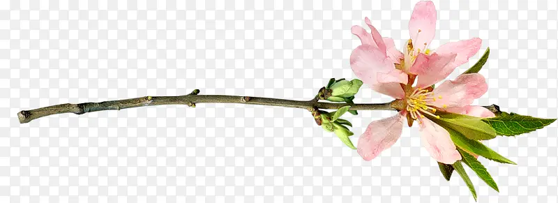 �һ�ͼ��-������