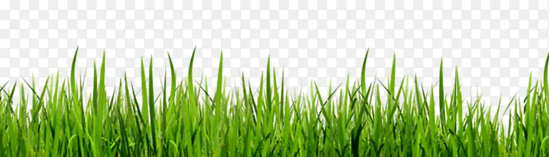 �ݴ�-������