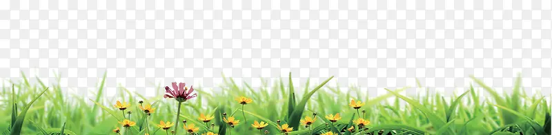 С��-������