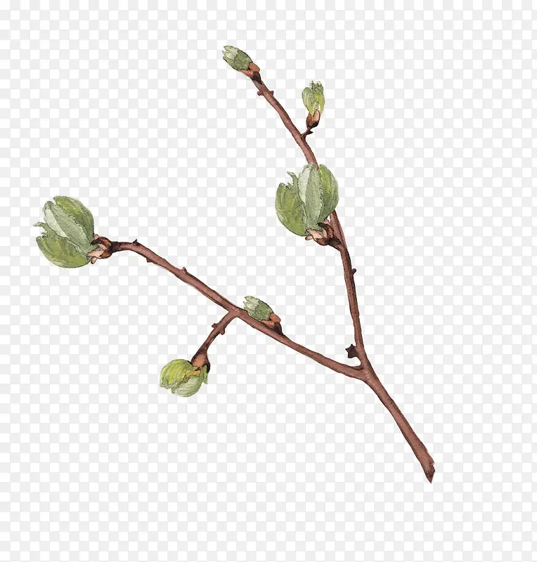 һ֦��֦-������