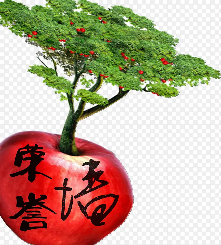 ƻ������������ǽ-������