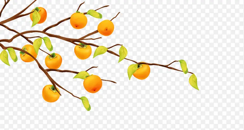 ��ʵ-������