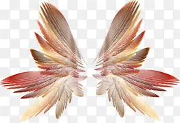 ���ʹ�����-������