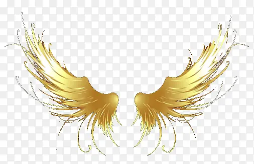 �����ĳ��-������