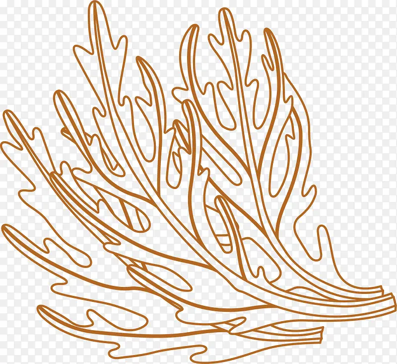 Ҷ�ӻ��ʳ������-������