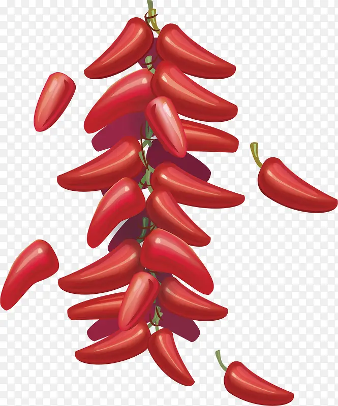 �������ʳ������-������