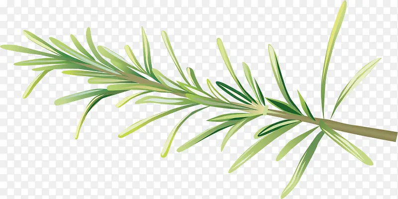 ֲ����ʳ������-������