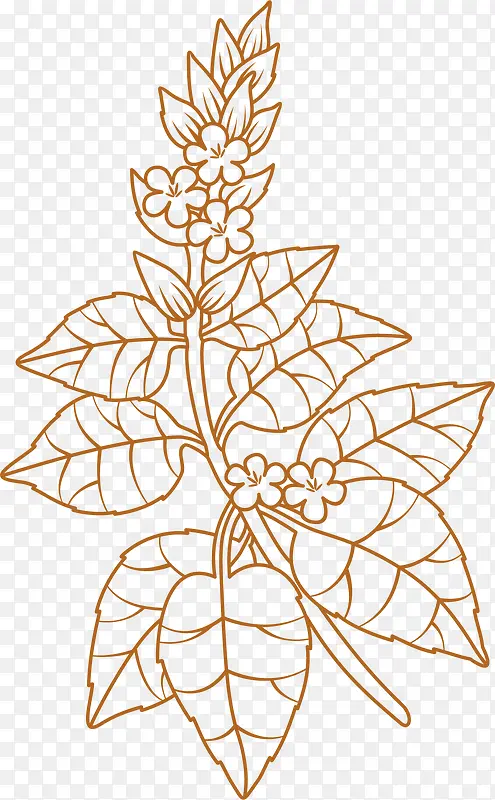 Ҷ�ӻ��ʳ������-������