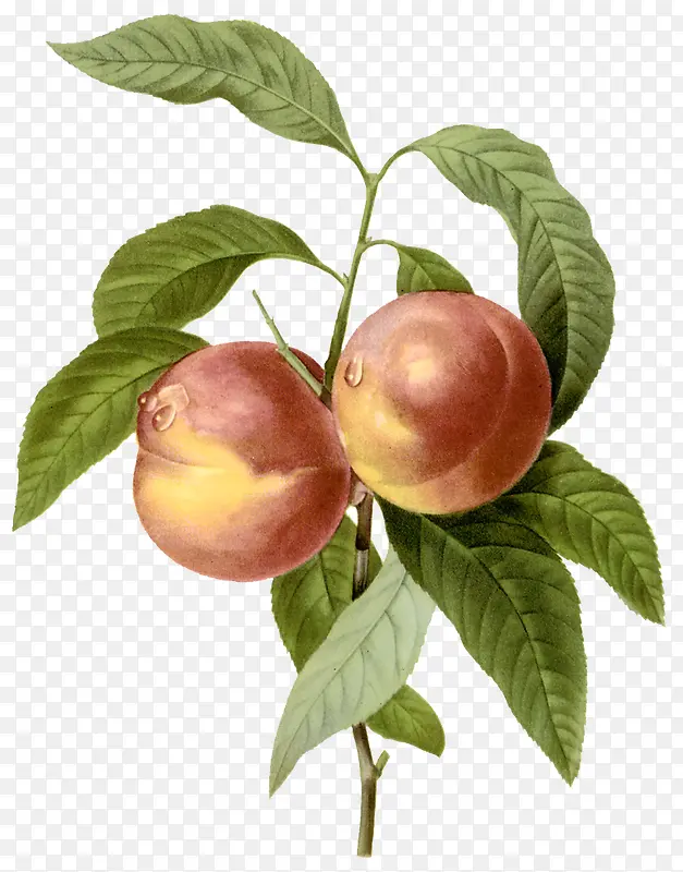 ˮ������-������