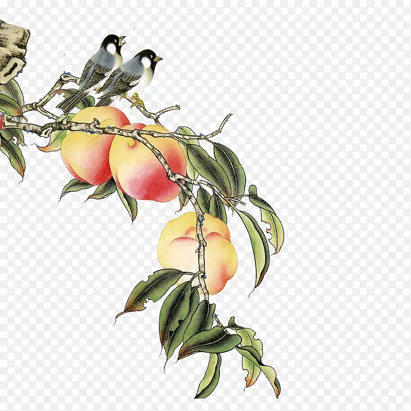 ����ϲȵ-������