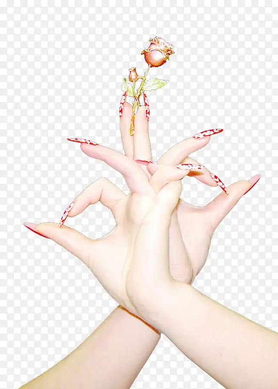 ����õ��-������