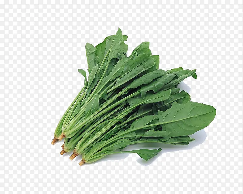 һ�Ѳ���-������