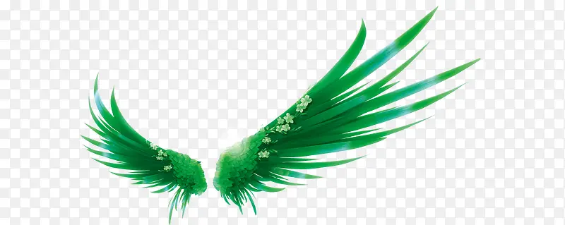 ��ɫ���-������