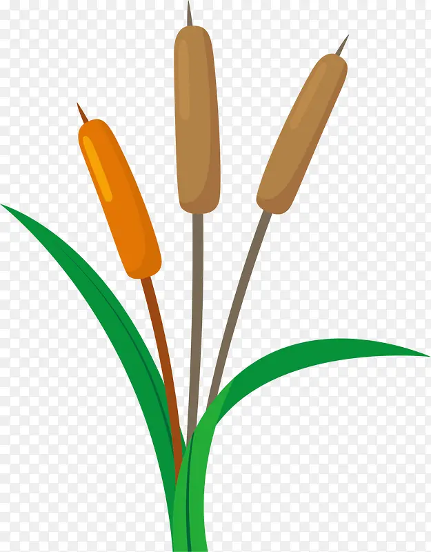 ����ɫ��ͨ����«έ-������