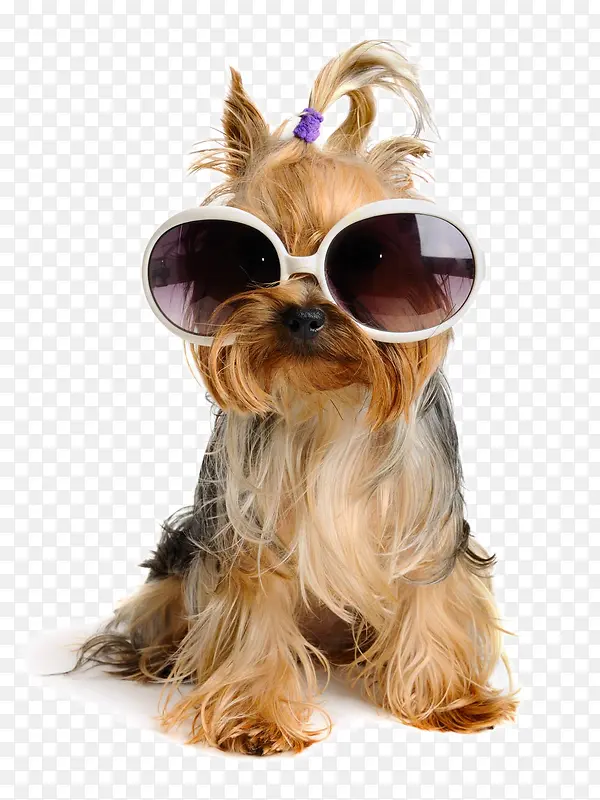 ���ֵ�С��-������