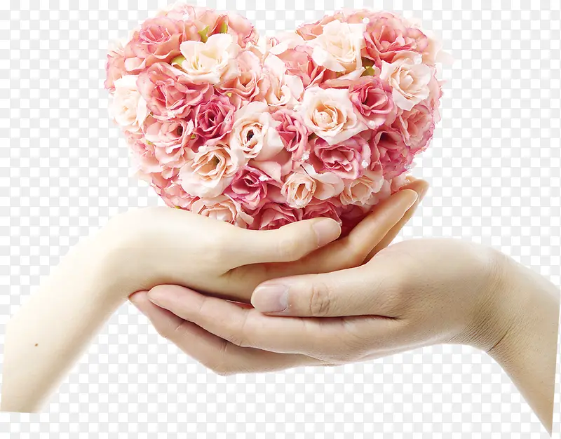 ����ǳ��õ�廨����-������