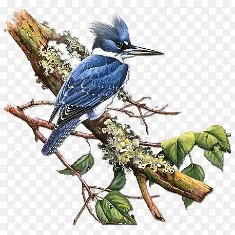 ���ϵ���-������