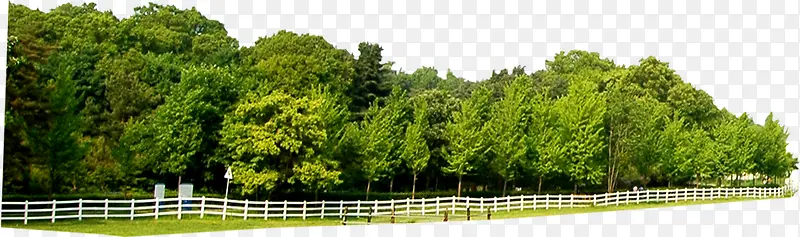 ������ɽֲ�����-������