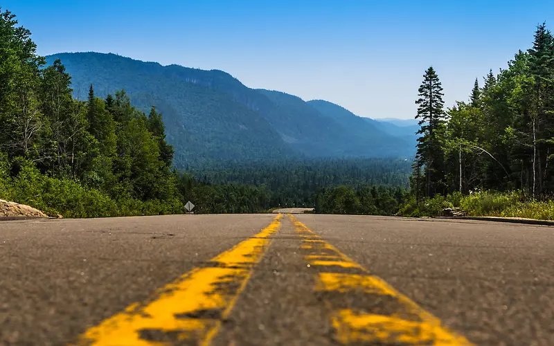 ��ɽ������Ĺ�·-������