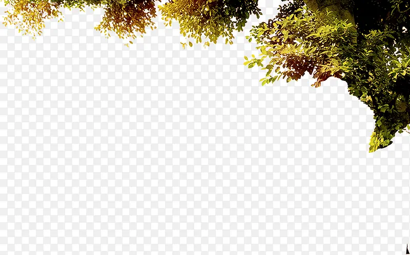 ŷʽ������������-������