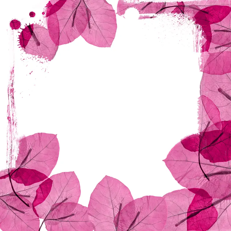 ͸����Ҷ����-������