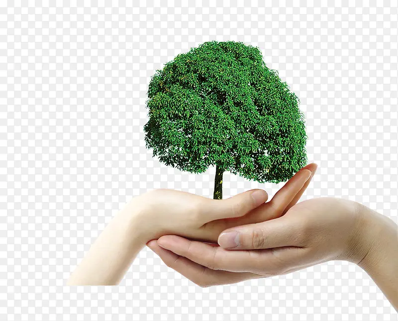 ������-������