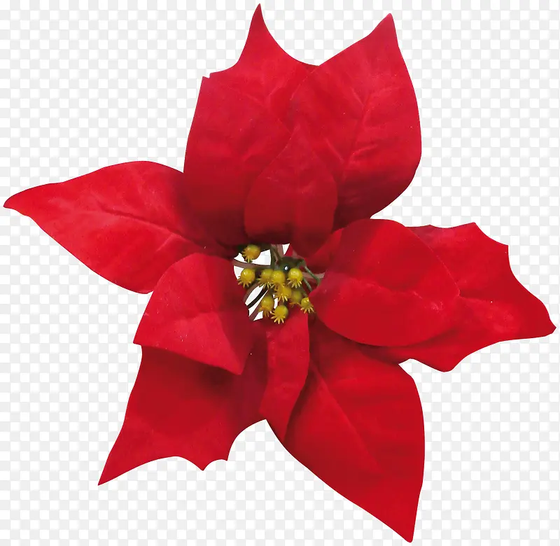 ʥ���ں�ɫװ�λ����ز�-������