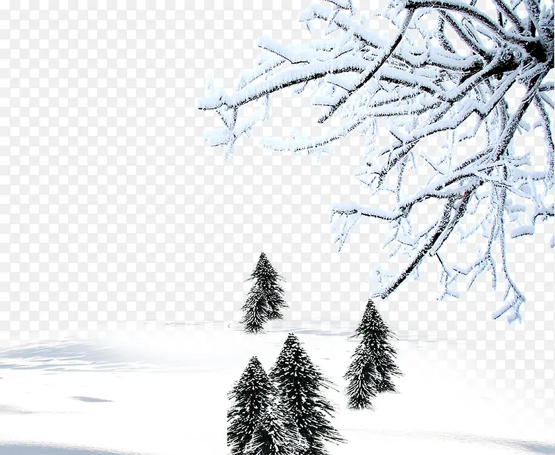 ���챳���ز�-������