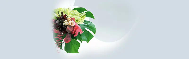 ��Լ��ˬ��������-������