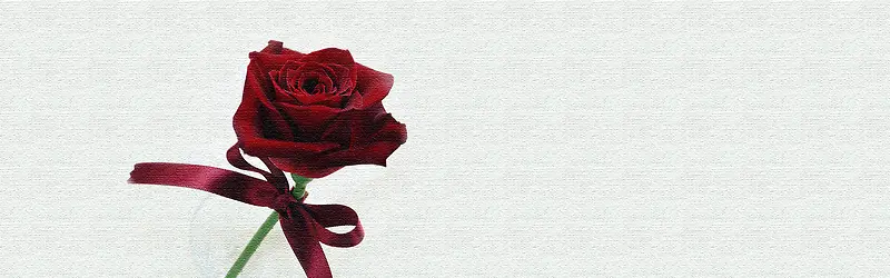 Ψ����Լ���������������-������