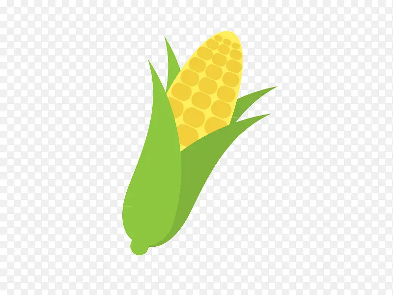 ���׿�ͨʸ���ز�-������