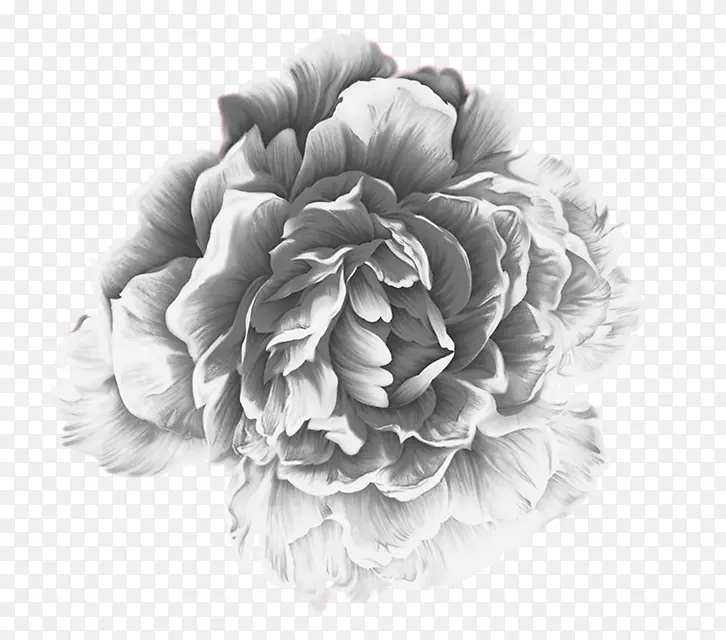 �������ĵ����-������