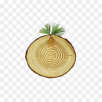 ���ݵ�ľͷ-������