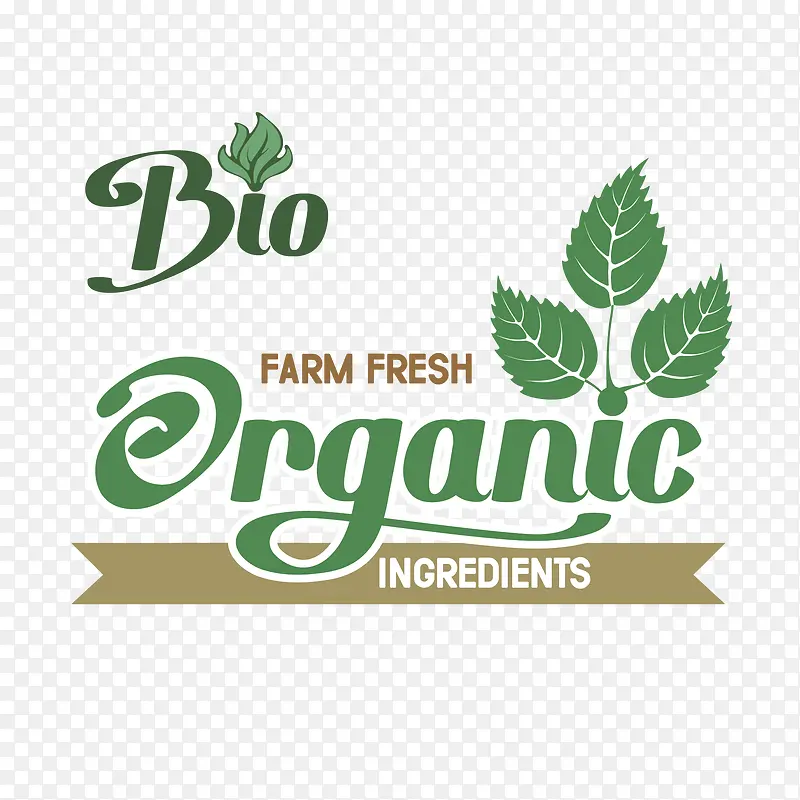 ����ʳ���ǩʸ���ز�-������