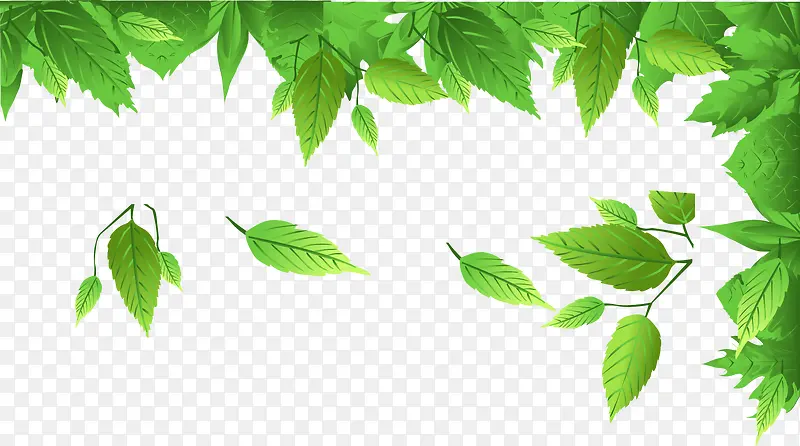 ʸ��Ҷ�ز�-������