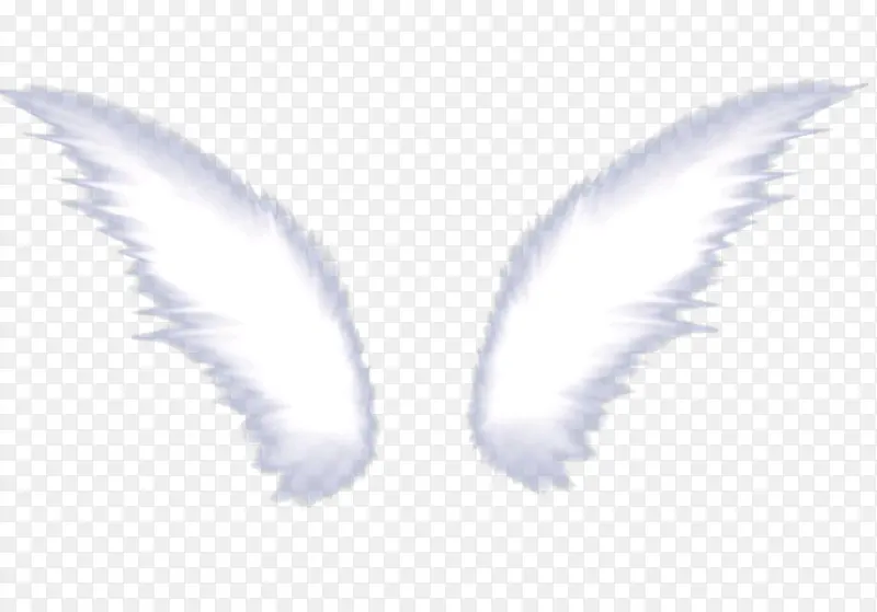 ��ɫΨ����ë���-������