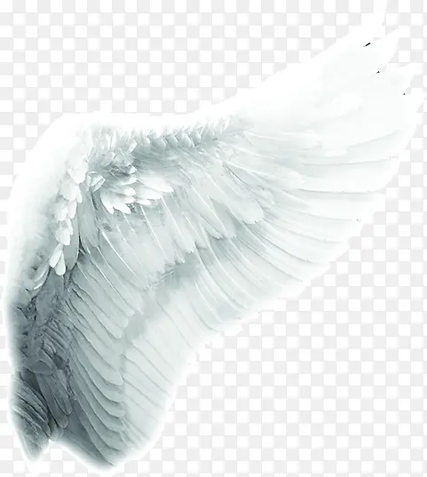 ��ɫ���Ψ������-������