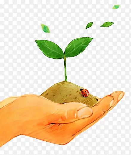 �ֻ�������ֲ-������